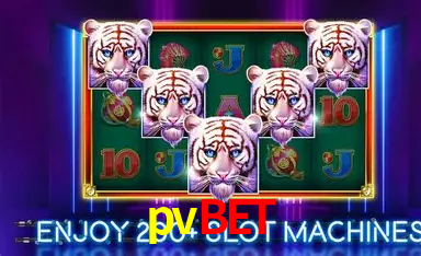 API Integration pvbet
